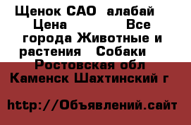 Щенок САО (алабай) › Цена ­ 10 000 - Все города Животные и растения » Собаки   . Ростовская обл.,Каменск-Шахтинский г.